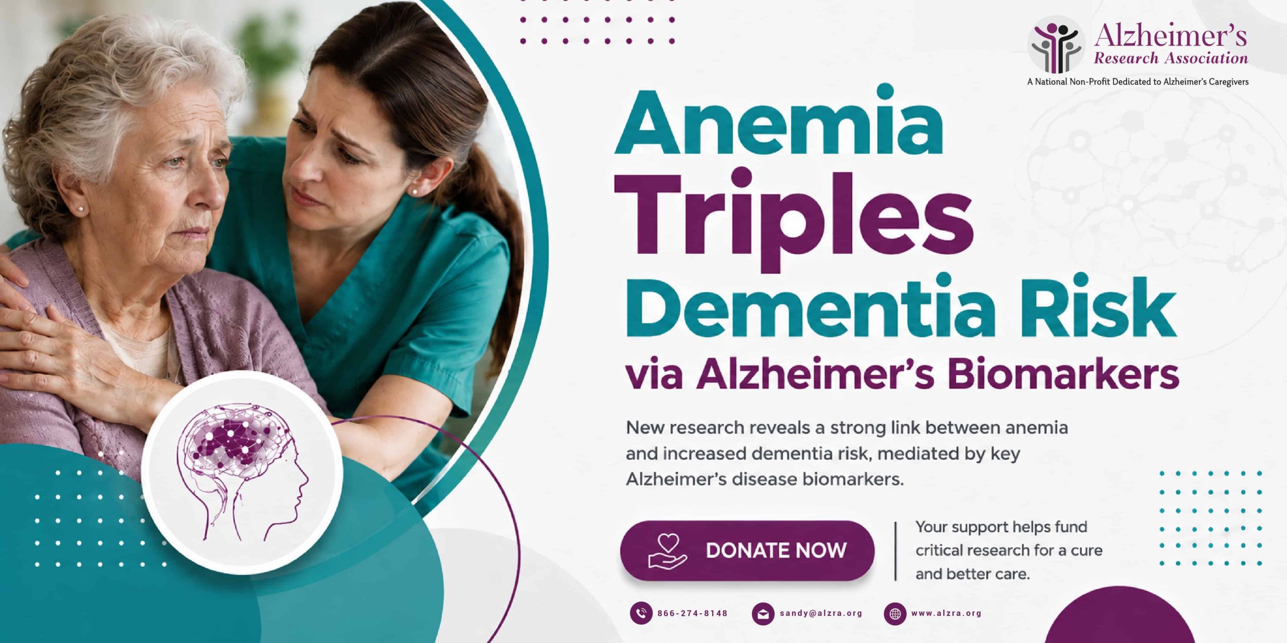 Illustration showing the connection between anemia, Alzheimer's disease biomarkers, and increased dementia risk in older adults according to a recent study.